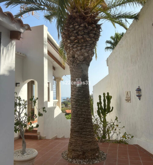 5 bedroom House in Coveta Fumá